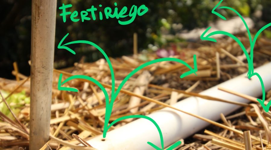 430258352_953341433253050_2334345763735291237_n